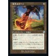 画像1: 速足のブーツ/Swiftfoot Boots (1)