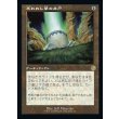 画像1: 失われし夢の井戸/Well of Lost Dreams (1)