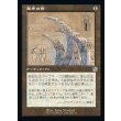 画像1: 象牙の塔/Ivory Tower (1)