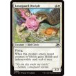 画像2: 睡蓮守りの信奉者/Lotusguard Disciple (2)