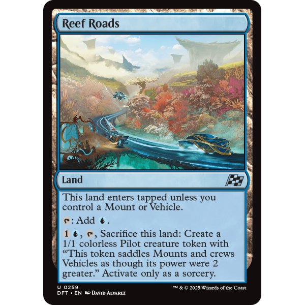 画像2: 珊瑚の道路/Reef Roads (2)