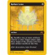 画像2: 光輝の睡蓮/Radiant Lotus (2)
