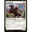 画像1: 煌々野の野生馬/Brightfield Mustang (1)