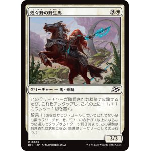 画像: 煌々野の野生馬/Brightfield Mustang