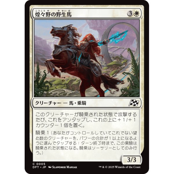 画像1: 煌々野の野生馬/Brightfield Mustang (1)