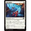 画像1: 光輪の強化術/Lightwheel Enhancements (1)