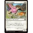 画像1: 睡蓮守りの信奉者/Lotusguard Disciple (1)