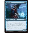画像1: 機敏な海賊/Keen Buccaneer (1)