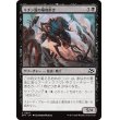 画像1: キチン質の墓地歩き/Chitin Gravestalker (1)