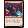 画像1: 大興奮の乗り手/Adrenaline Jockey (1)