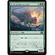 画像1: アゴナサウルス・レックス/Agonasaur Rex (1)