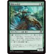 画像1: 獣乗りの先兵/Beastrider Vanguard (1)