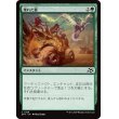 画像1: 壊れた翼/Broken Wings (1)