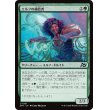 画像1: エルフの補給者/Elvish Refueler (1)