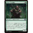 画像1: 牙ドルイドの召喚士/Fang-Druid Summoner (1)