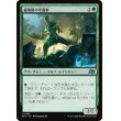 画像1: 緑地帯の守護者/Greenbelt Guardian (1)