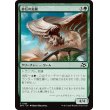 画像1: 砂丘の危険/Hazard of the Dunes (1)