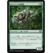 画像1: ロクソドンの偵察員/Loxodon Surveyor (1)