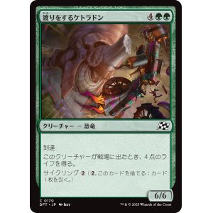 画像: 渡りをするケトラドン/Migrating Ketradon
