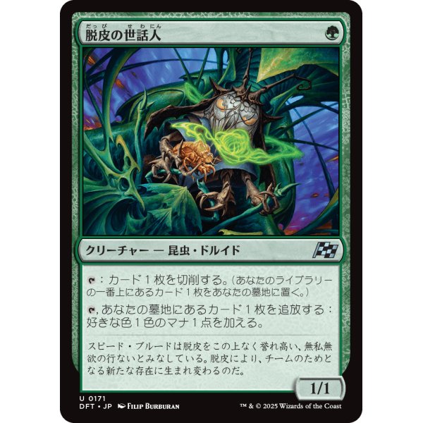 画像1: 脱皮の世話人/Molt Tender (1)