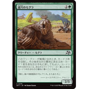 画像: 道穴のモグラ/Pothole Mole