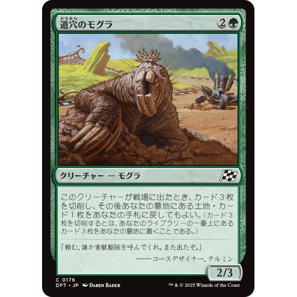 画像1: 道穴のモグラ/Pothole Mole (1)