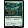 画像1: 威厳ある放漫トカゲ/Regal Imperiosaur (1)