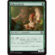 画像1: 突進する小走り足/Stampeding Scurryfoot (1)