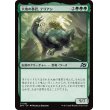 画像1: 大地の暴君、テリアン/Terrian, World Tyrant (1)