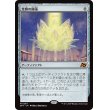 画像1: 光輝の睡蓮/Radiant Lotus (1)