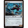 画像1: 流浪者の刃/Rover Blades (1)