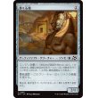 画像1: 歩く石棺/Walking Sarcophagus (1)