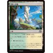 画像1: 花咲く砂地/Blossoming Sands (1)