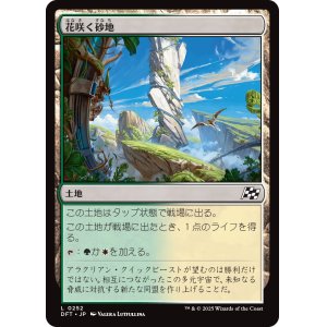 画像: 花咲く砂地/Blossoming Sands