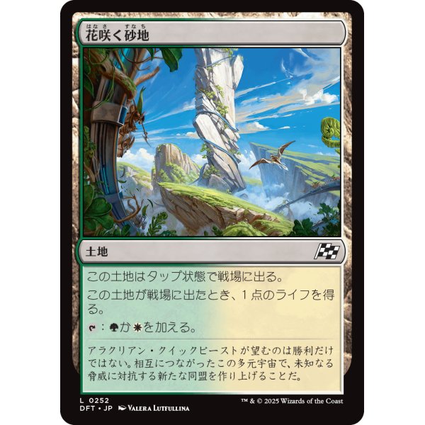 画像1: 花咲く砂地/Blossoming Sands (1)