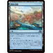 画像1: 珊瑚の道路/Reef Roads (1)
