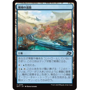 画像: 珊瑚の道路/Reef Roads