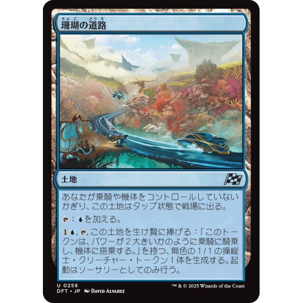 画像1: 珊瑚の道路/Reef Roads (1)