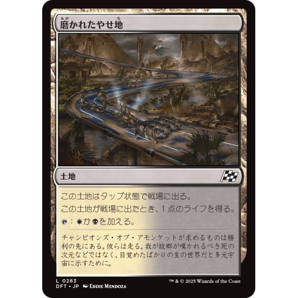 画像1: 磨かれたやせ地/Scoured Barrens (1)