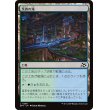 画像1: 茨森の滝/Thornwood Falls (1)