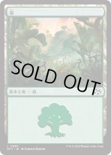 画像: 森/Forest