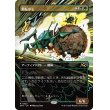 画像1: 屑転がし/Debris Beetle (1)