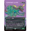 画像1: アゴナサウルス・レックス/Agonasaur Rex (1)