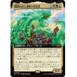 画像1: 崇められし擬態の原形質/Mimeoplasm, Revered One (1)