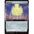 画像1: 光輝の睡蓮/Radiant Lotus (1)