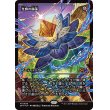 画像1: 光輝の睡蓮/Radiant Lotus (1)