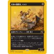 画像1: 未来の優勝者、バスリ/Basri, Tomorrow's Champion (1)