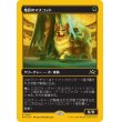 画像1: 地区のマスコット/District Mascot (1)
