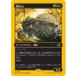 画像1: 屑転がし/Debris Beetle (1)