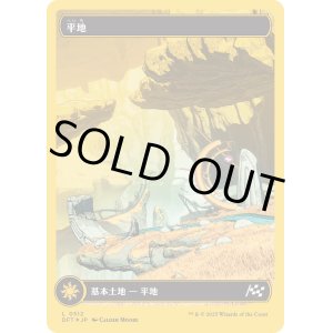 画像: 平地/Plains